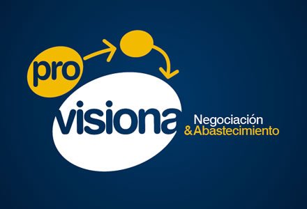 Opción logo, Identidad Visual Pro-visiona