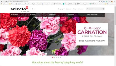 Home, Web HTML5 administrable Selecta Flowers