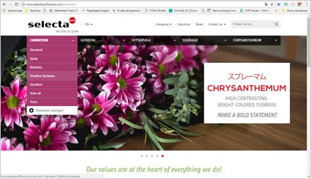 Menús, Web HTML5 administrable Selecta Flowers