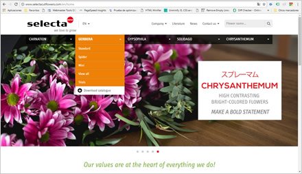 Menús, Web HTML5 administrable Selecta Flowers