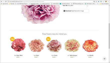 Detalle de producto (scroll), Web HTML5 administrable Selecta Flowers