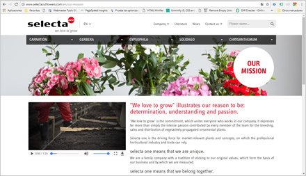Misión, Web HTML5 administrable Selecta Flowers