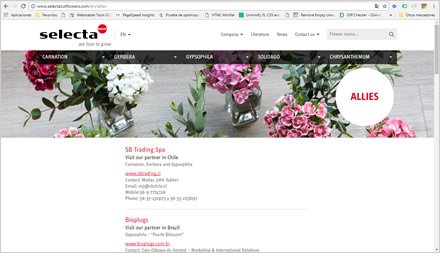 Aliados, Web HTML5 administrable Selecta Flowers