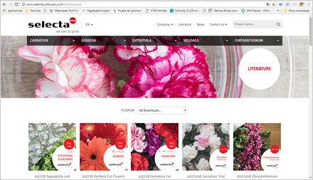 Descargas, Web HTML5 administrable Selecta Flowers