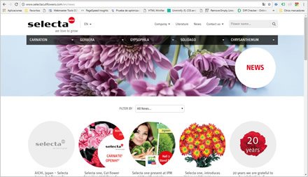 Noticias, Web HTML5 administrable Selecta Flowers