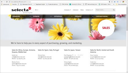 Ventas, Web HTML5 administrable Selecta Flowers