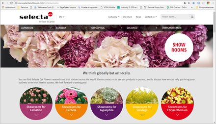 Showrooms, Web HTML5 administrable Selecta Flowers