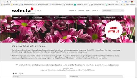 Trabaje con Nosotros, Web HTML5 administrable Selecta Flowers