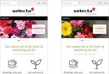 Adaptación Responsive, Web HTML5 administrable Selecta Flowers