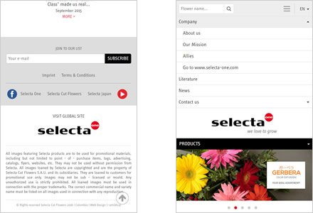 Adaptación Responsive, Web HTML5 administrable Selecta Flowers