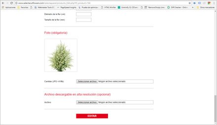 Administrador de Contenidos, Web HTML5 administrable Selecta Flowers