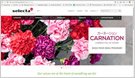 Diseño de Web HTML5 administrable para Selecta Flowers