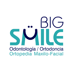 Logo, Identidad Visual Big Smile