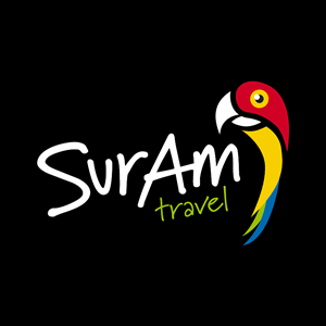 Logo, Identidad Visual SurAm