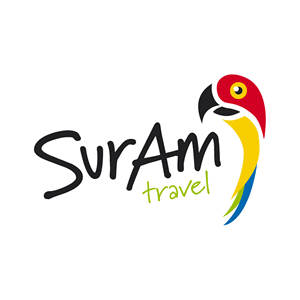Logo, Identidad Visual SurAm