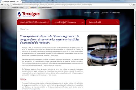 Empresa, Sitio web Tecnigas